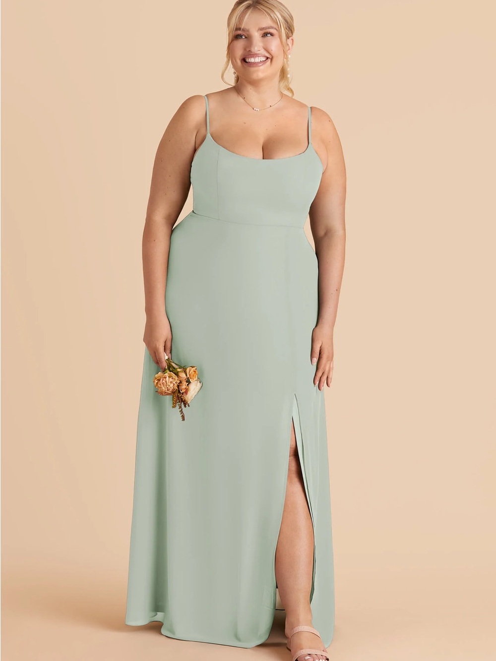 Birdy Grey Amy Dress in Sage Chiffon NWT